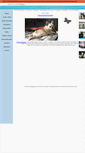 Mobile Screenshot of abrifrenchbulldogs.com